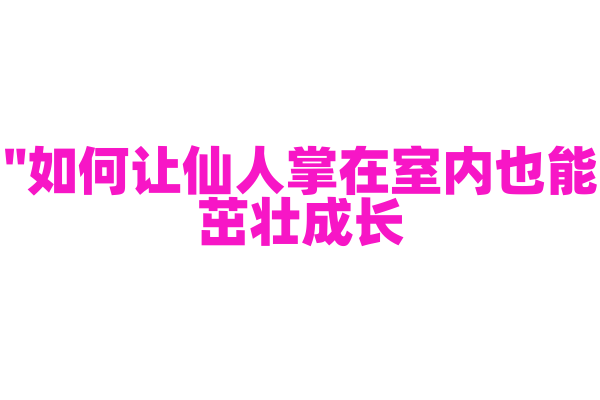 "如何让仙人掌在室内也能茁壮成长？"